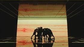 ピスはめ在线视频