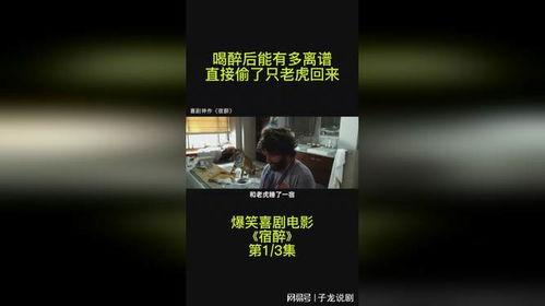 回虎在线视频,揭秘神秘虎山，探寻自然奇观与人文风情